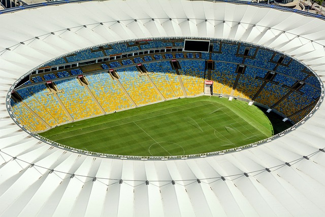 以责任