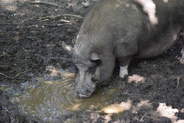 不仅限于篮 不仅限于篮